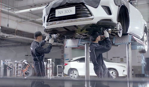 不想賺我們的錢？這個品牌火到加價，但為何不國產